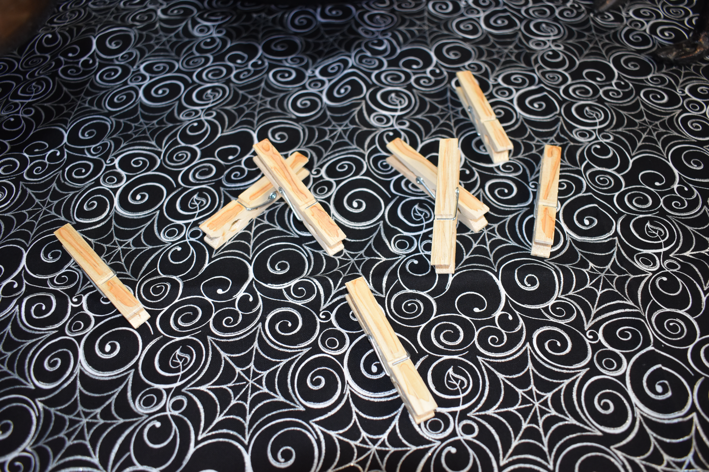 Broom Clips / Clothespins