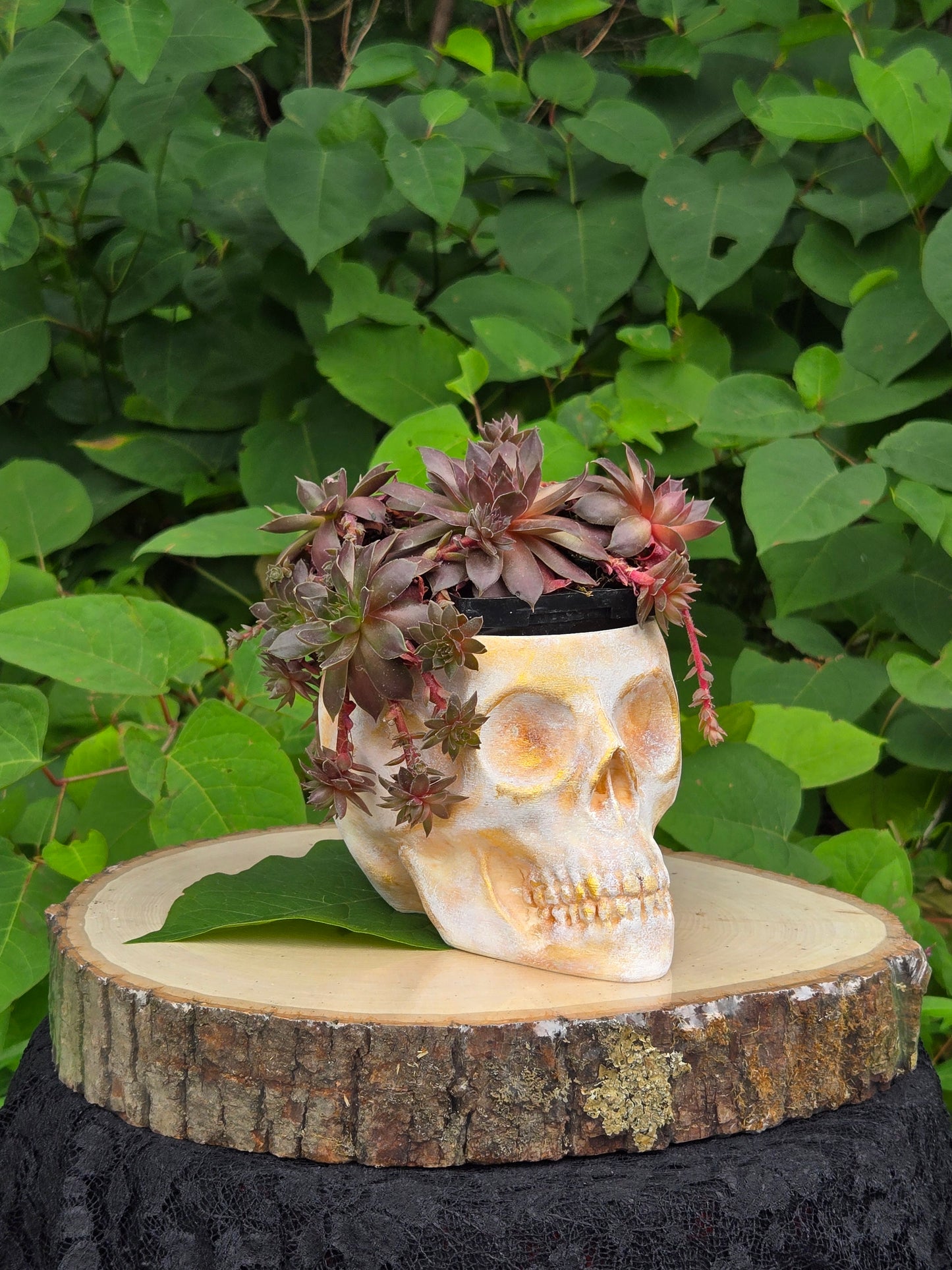 Skull Planter Flowerpot Container Grower Flower Box Jardinière Cachepot