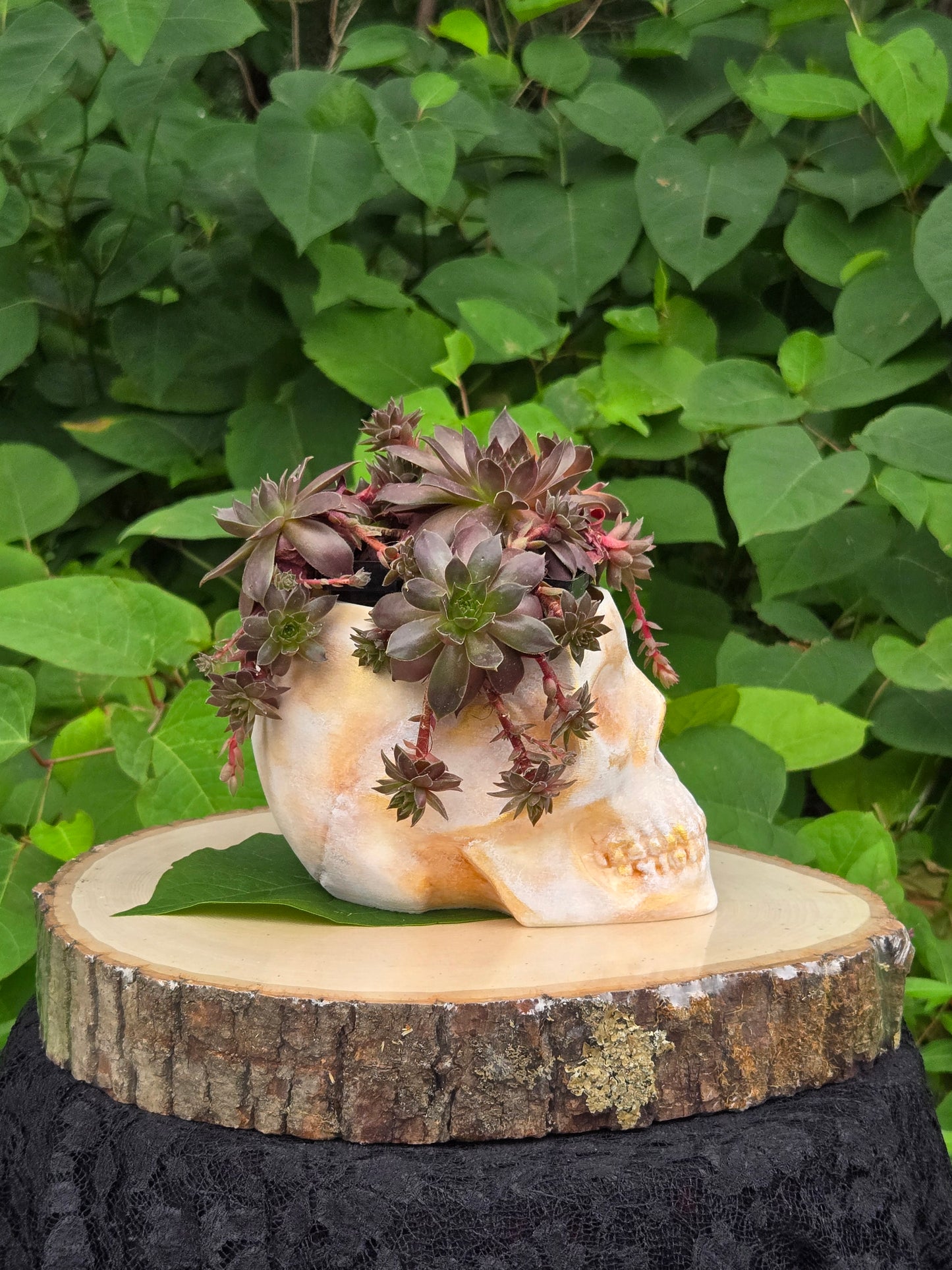 Skull Planter Flowerpot Container Grower Flower Box Jardinière Cachepot
