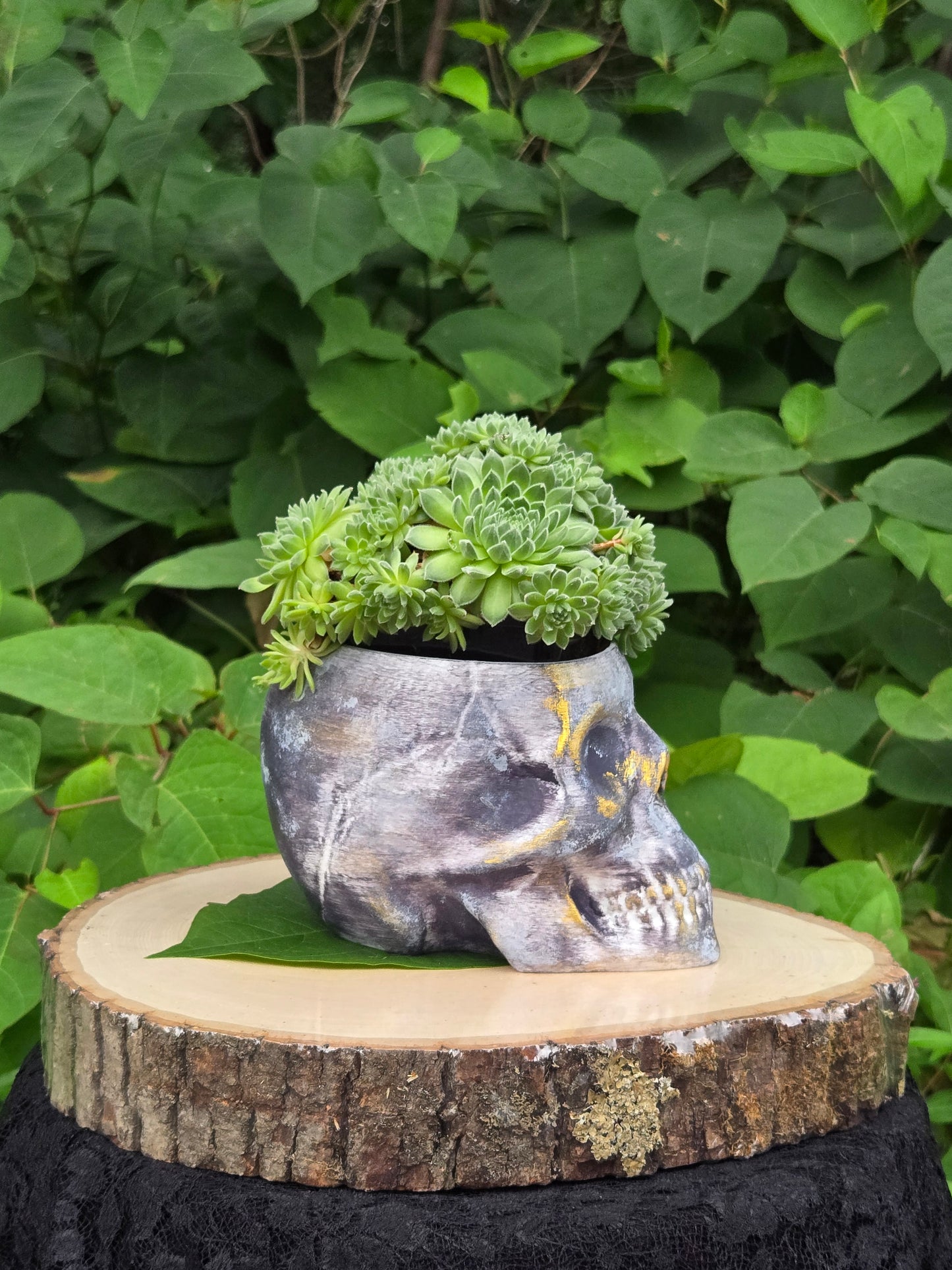 Skull Planter Flowerpot Container Grower Flower Box Jardinière Cachepot