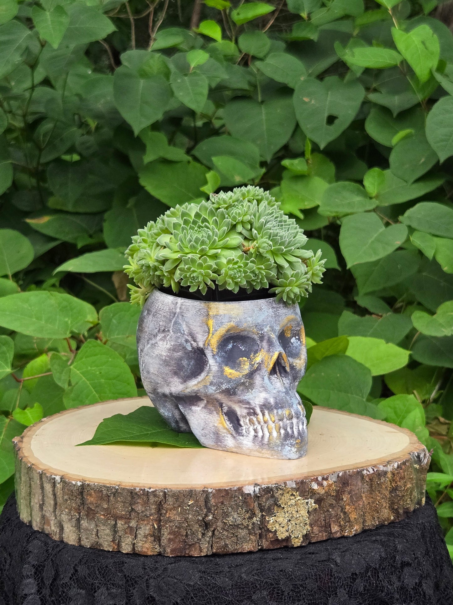 Skull Planter Flowerpot Container Grower Flower Box Jardinière Cachepot