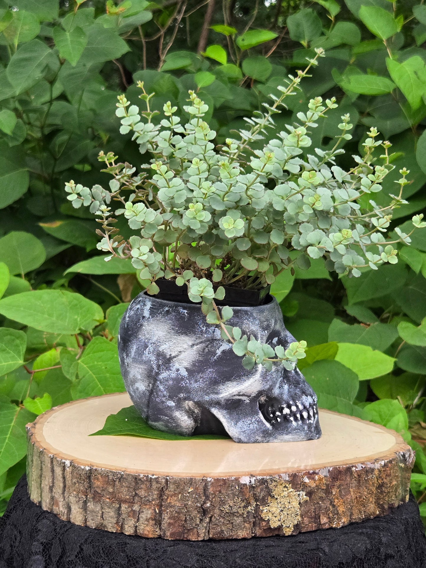 Skull Planter Flowerpot Container Grower Flower Box Jardinière Cachepot