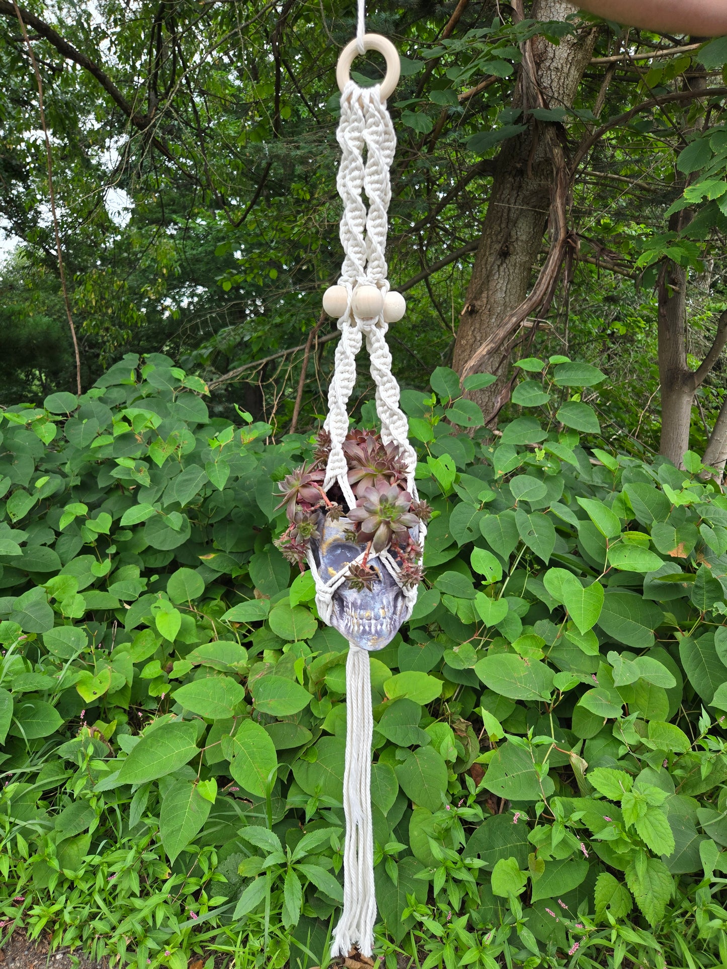 Hanging Skull Planter Flowerpot Container Grower Flower Box Jardinière Cachepot