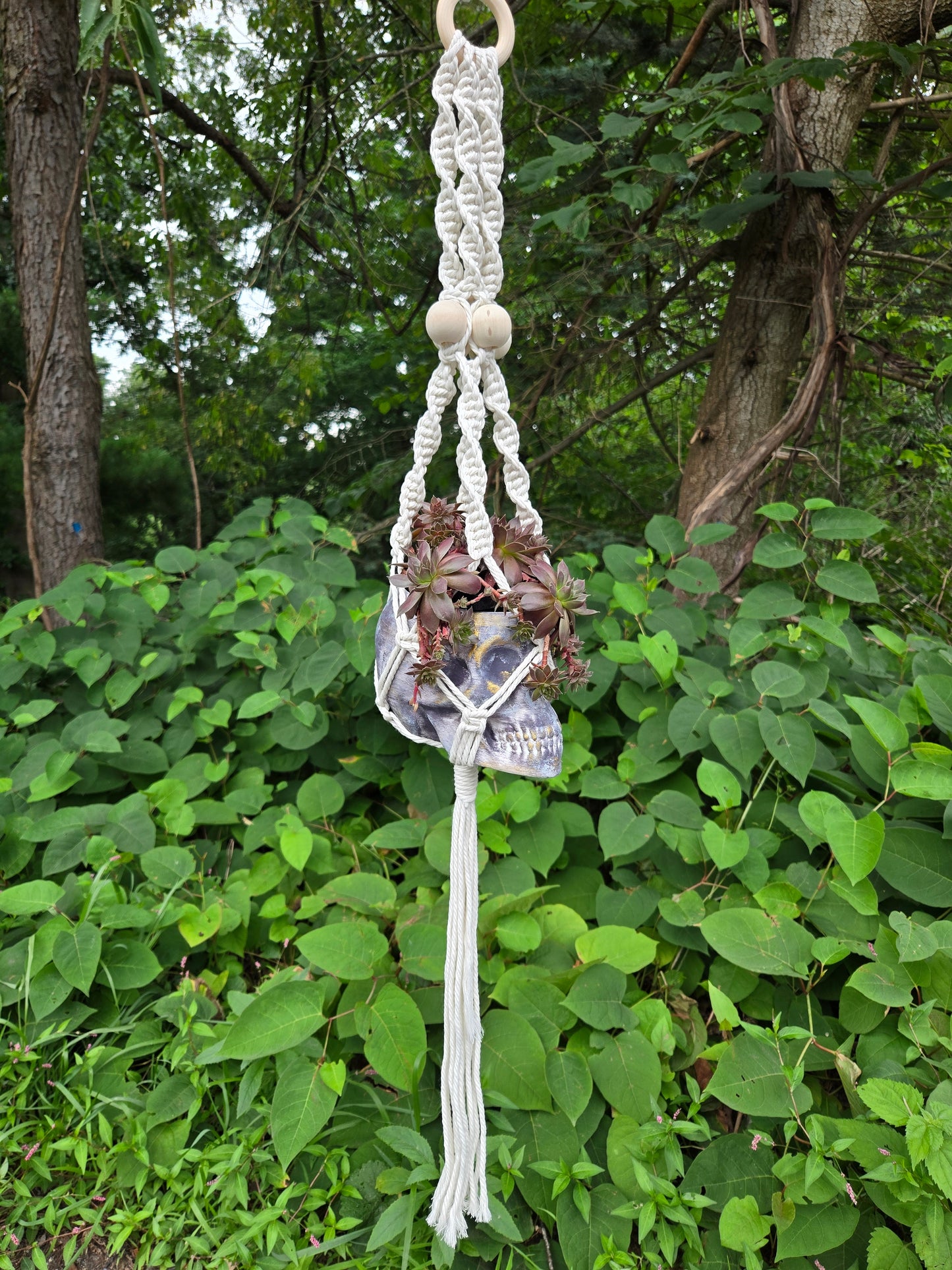Hanging Skull Planter Flowerpot Container Grower Flower Box Jardinière Cachepot