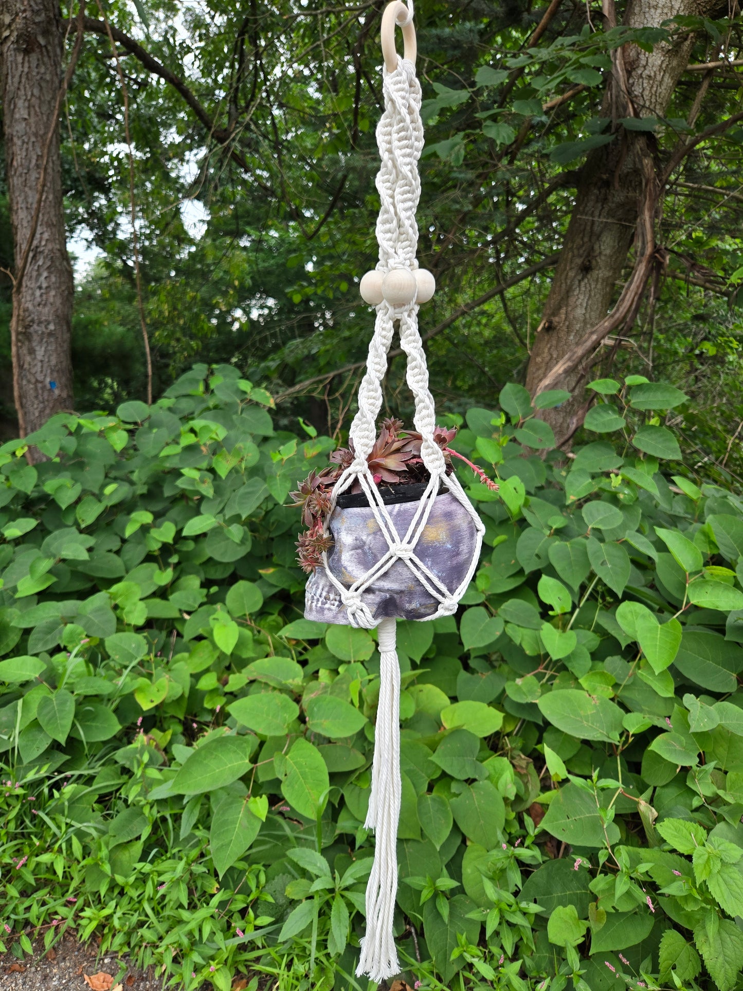 Hanging Skull Planter Flowerpot Container Grower Flower Box Jardinière Cachepot