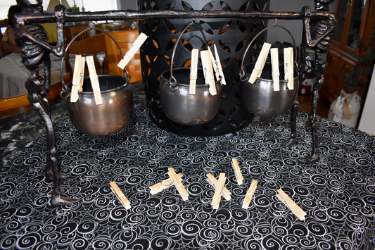 Broom Clips / Clothespins