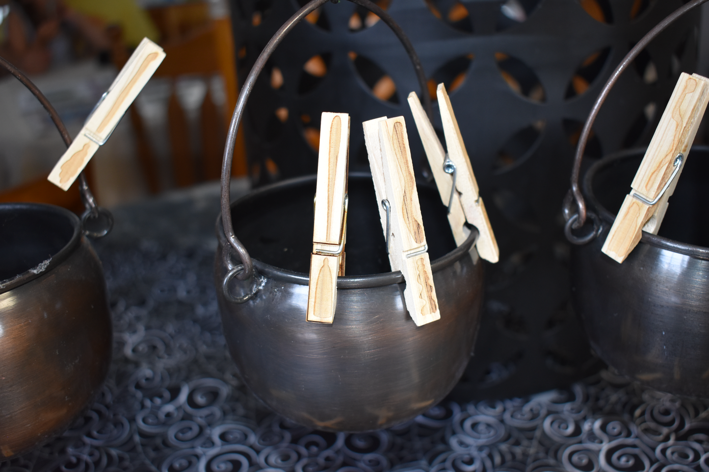 Broom Clips / Clothespins